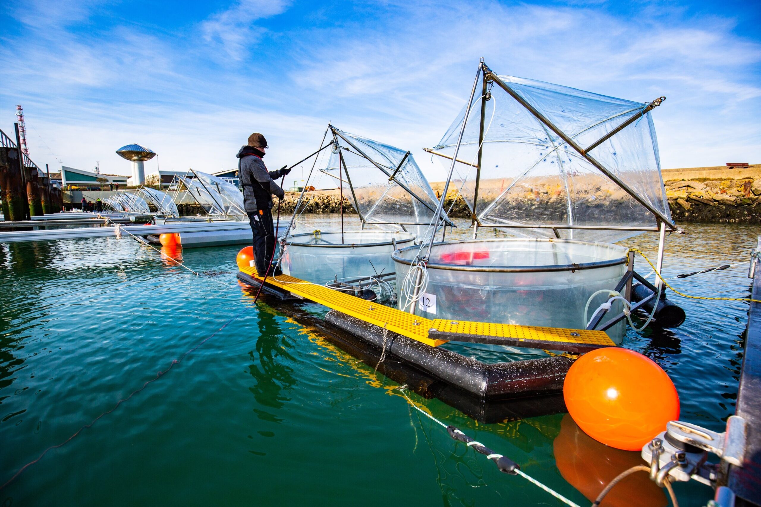 Karbon yakalamak için okyanusun gücünden yararlanabilir miyiz?