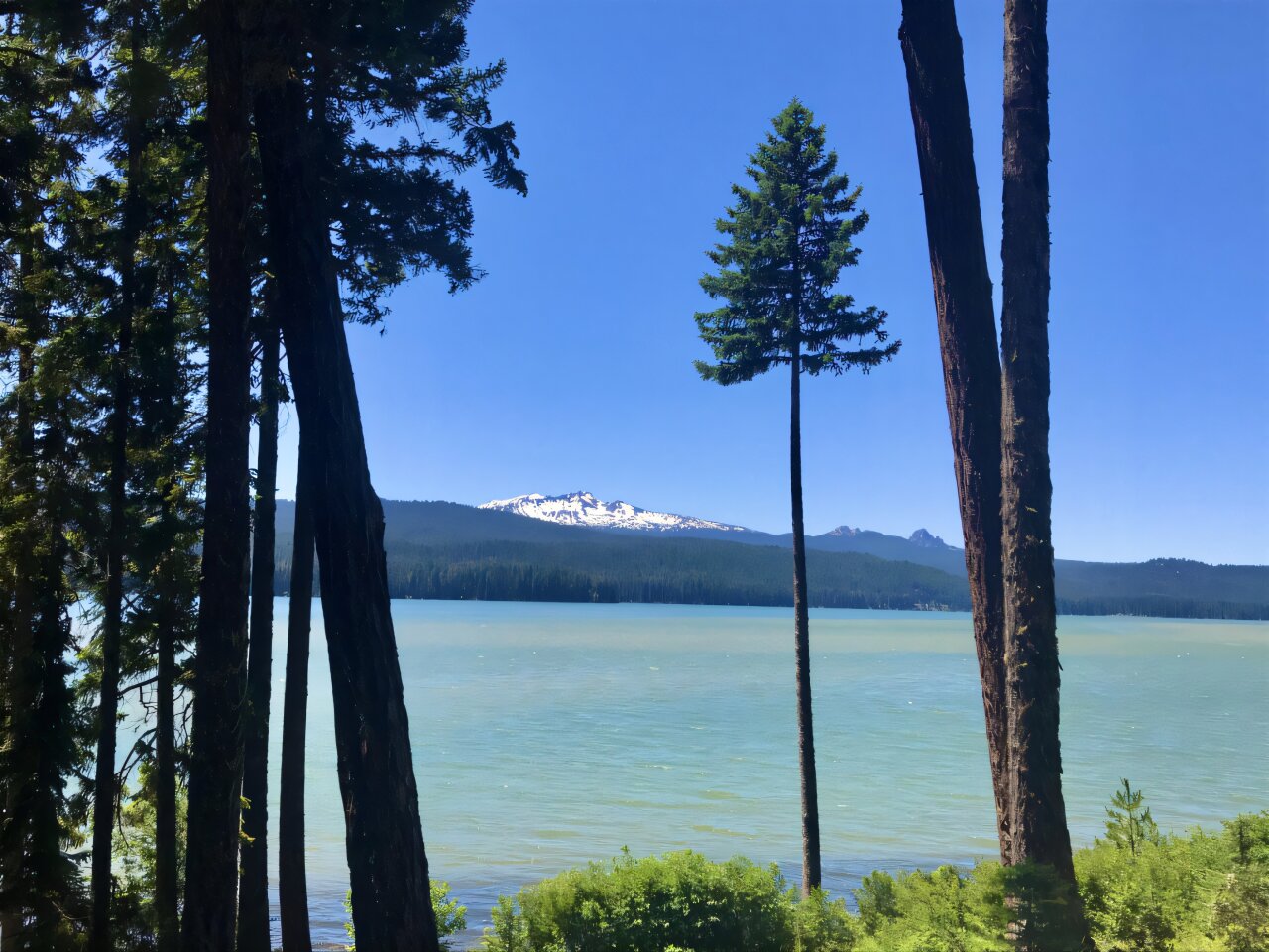 Mavi-yeşil alg toksisitesine ilişkin erken uyarı sağlayabilecek bakteriler belirlendi