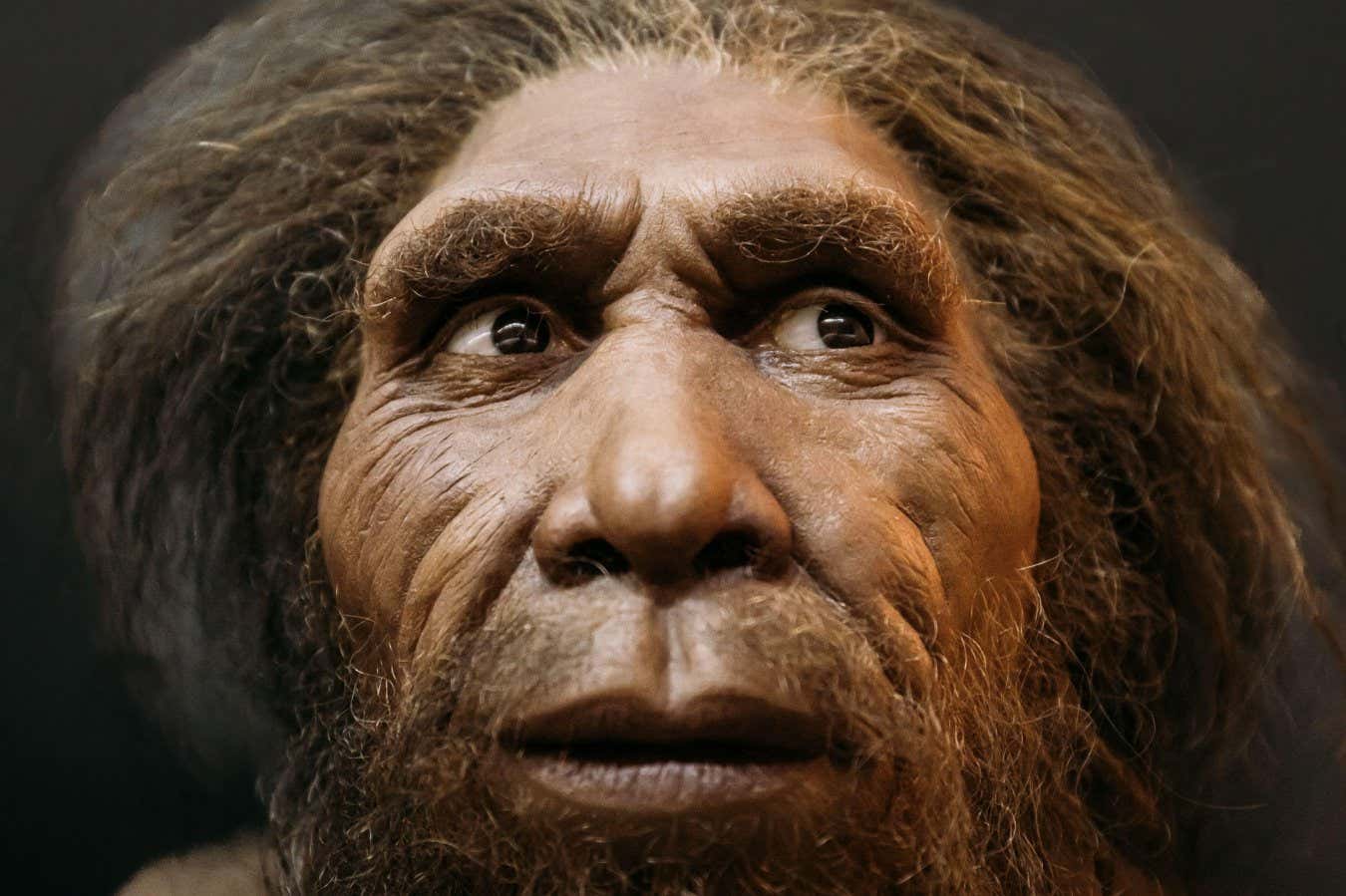 Neandertallerin iri burunları soğuk iklimlere iyi uyum sağlamamıştı