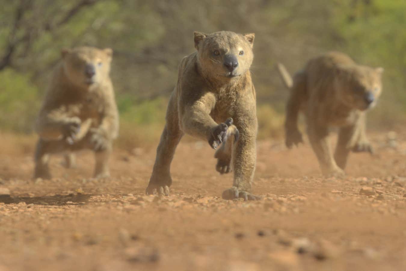 New Scientist. Science news and long reads from expert journalists, covering developments in science, technology, health and the environment on the website and the magazine.