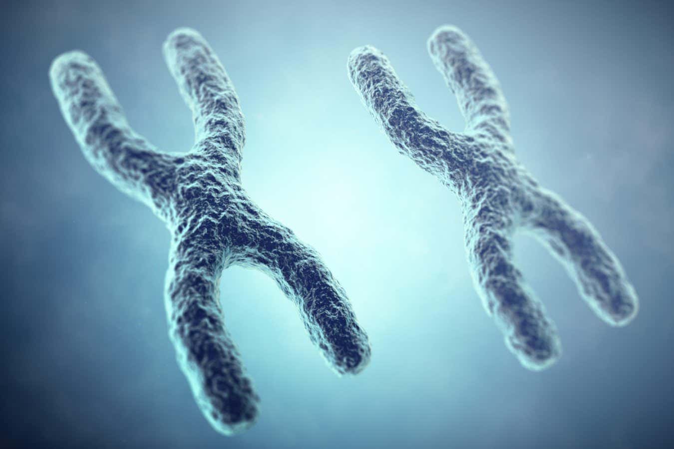 GEGPJC XX Chromosome concept. Female Heterogametic Sex. 3d illustration.
