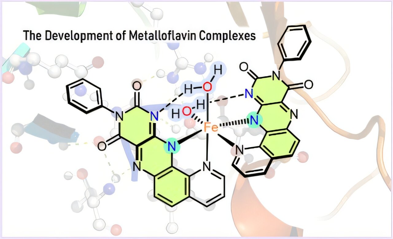 Yapay enzim, yeni nesil katalizörler için B2 vitaminini metalle birleştiriyor