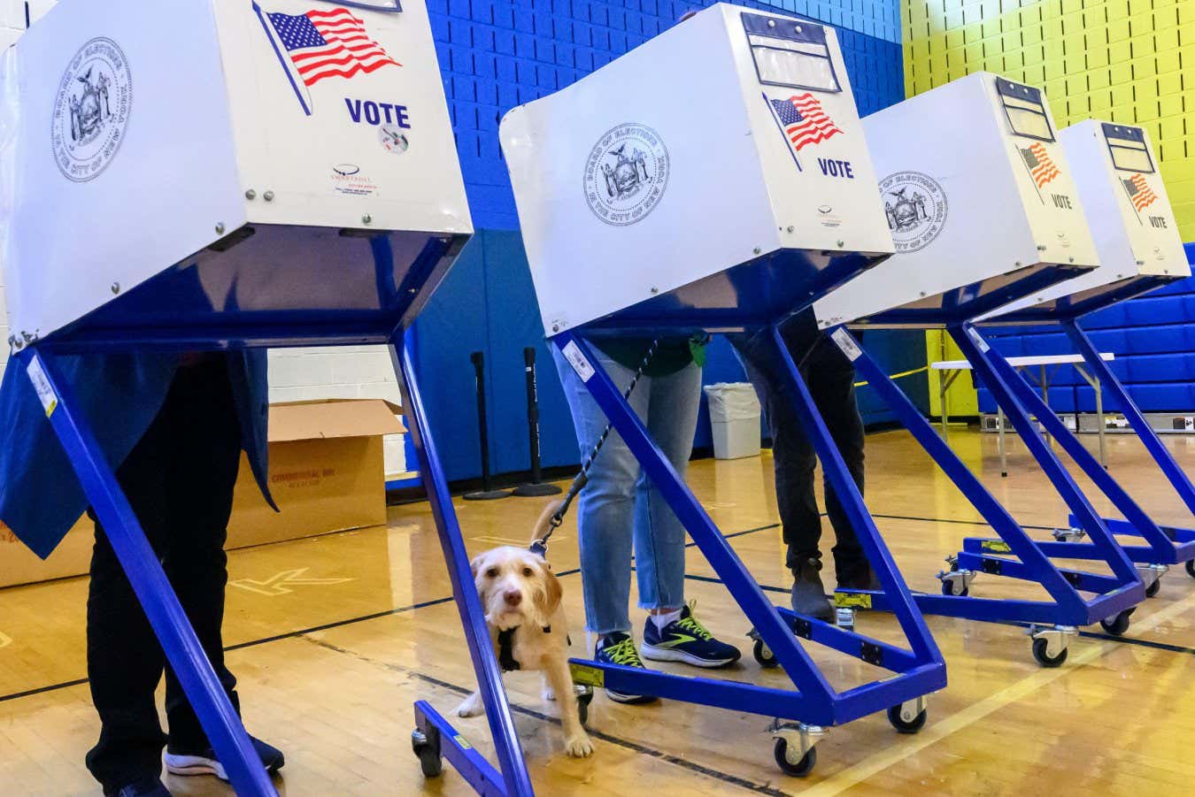 voters in the United States