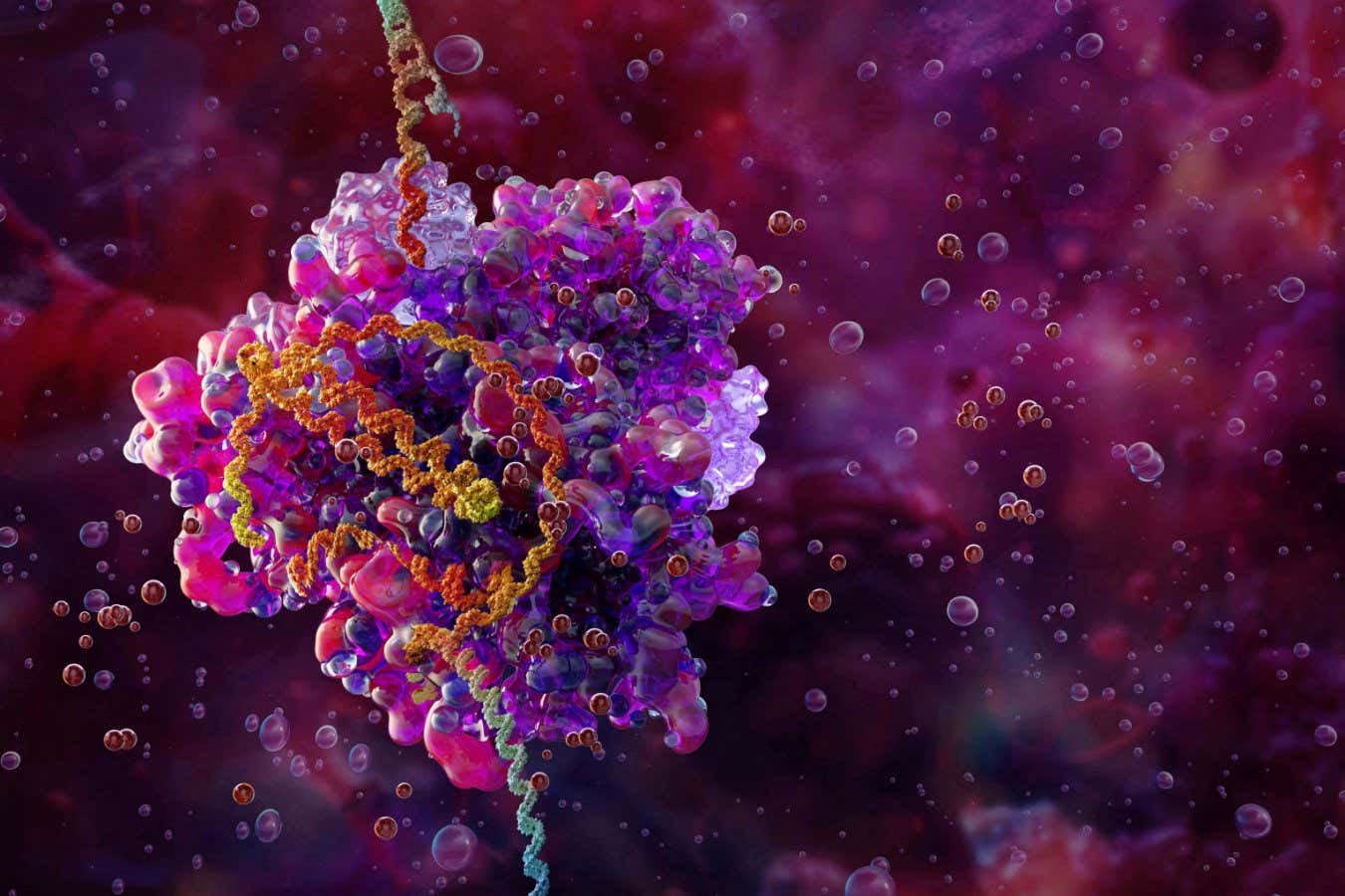 Illustration of the CRISPR-Cas9 gene editing complex (pink and purple) bound to DNA (helix)
